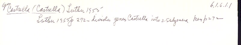 index card