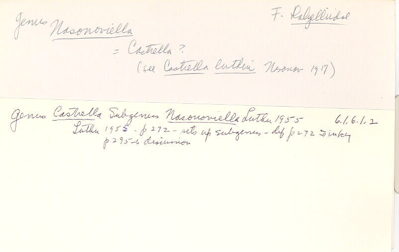 index card