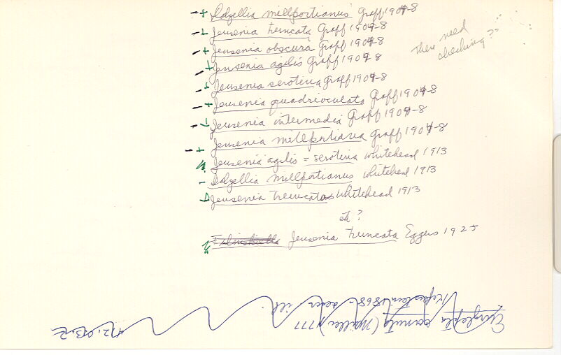 index card