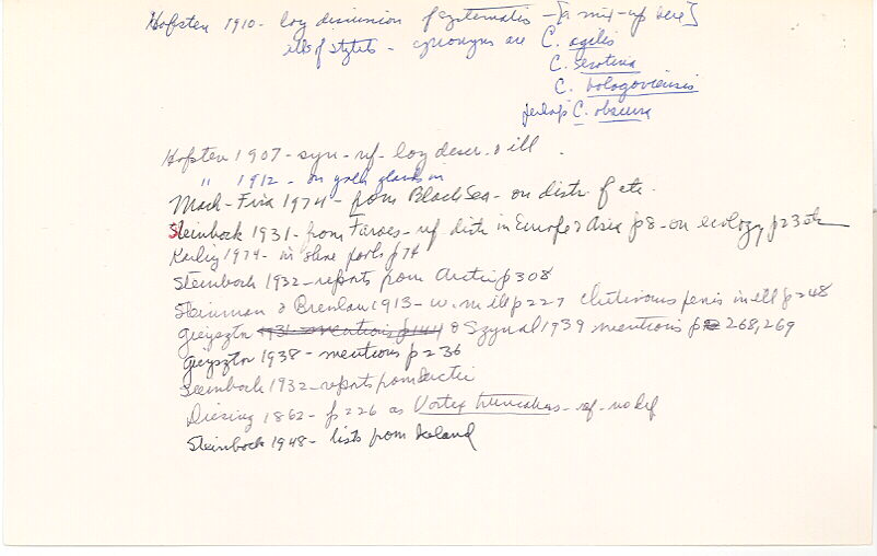 index card