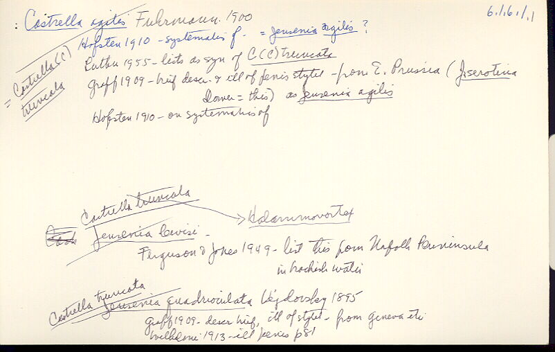 index card