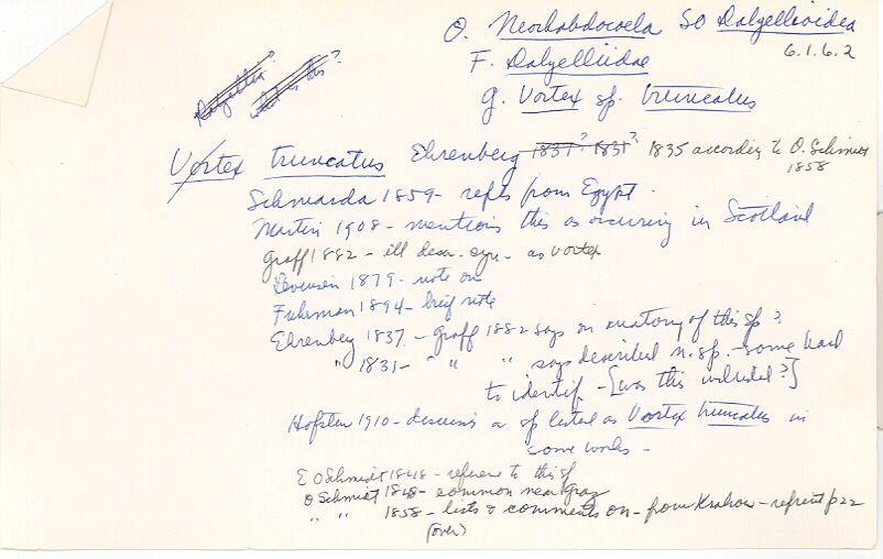 index card