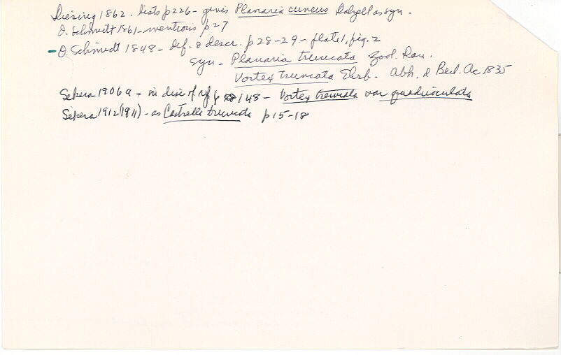index card