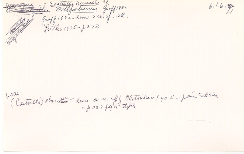 index card