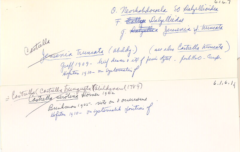 index card