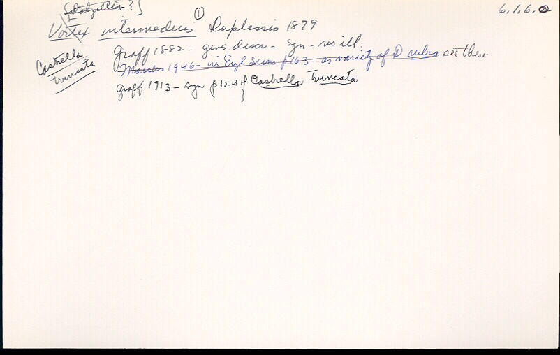 index card
