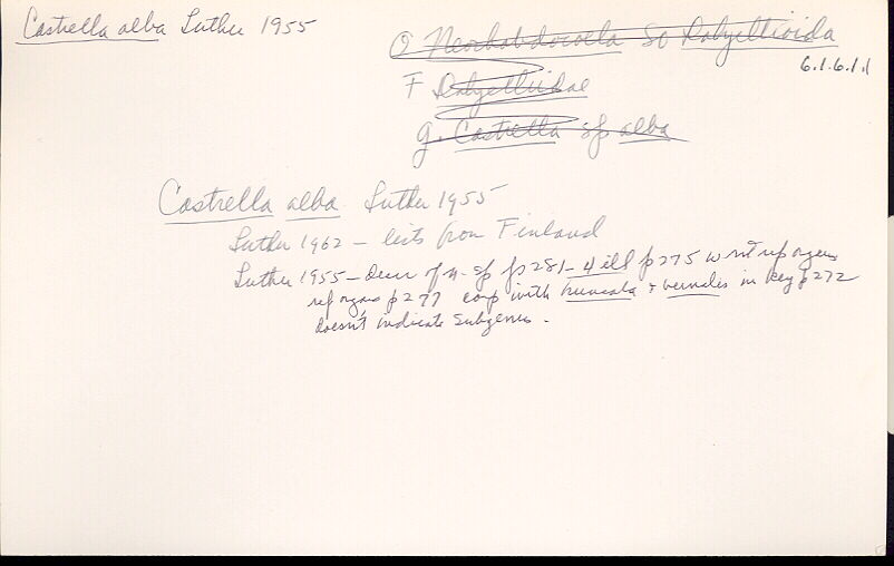index card