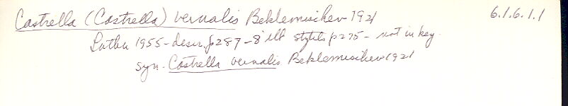 index card