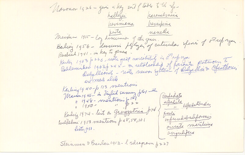 index card