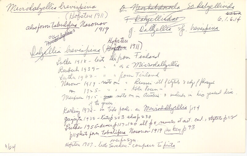 index card