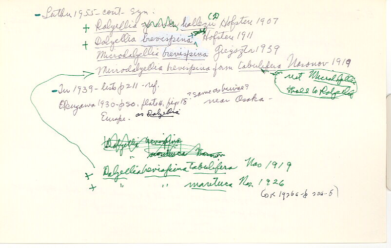 index card