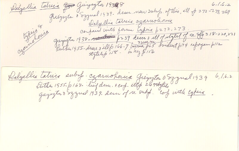 index card