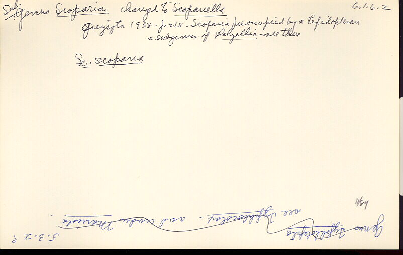index card