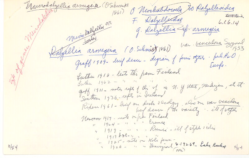 index card