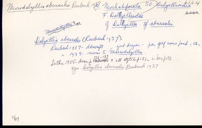 index card