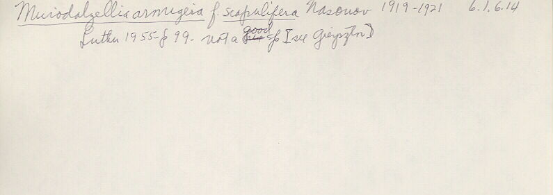 index card