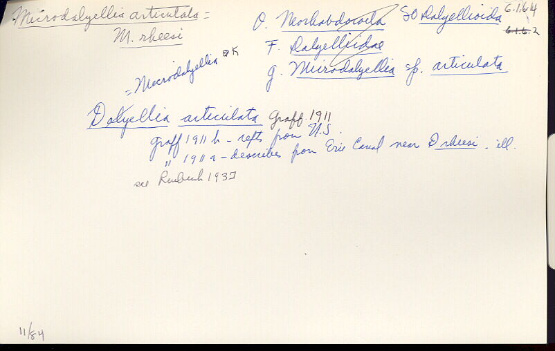 index card