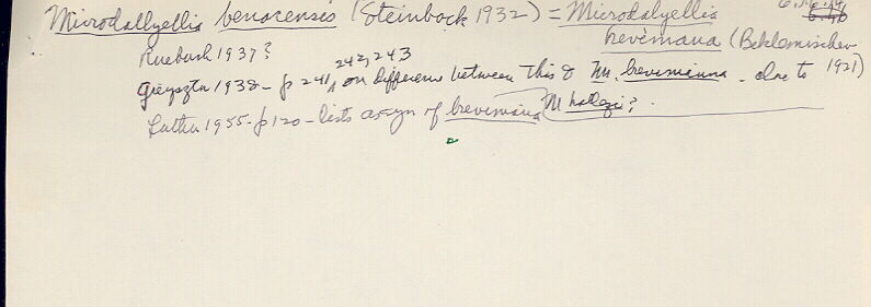 index card