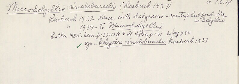index card