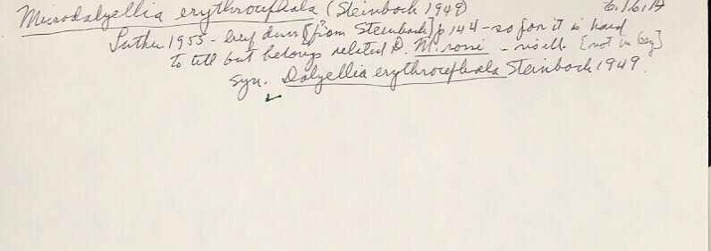 index card