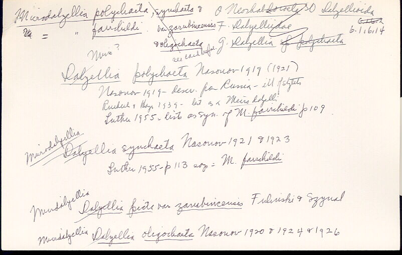 index card