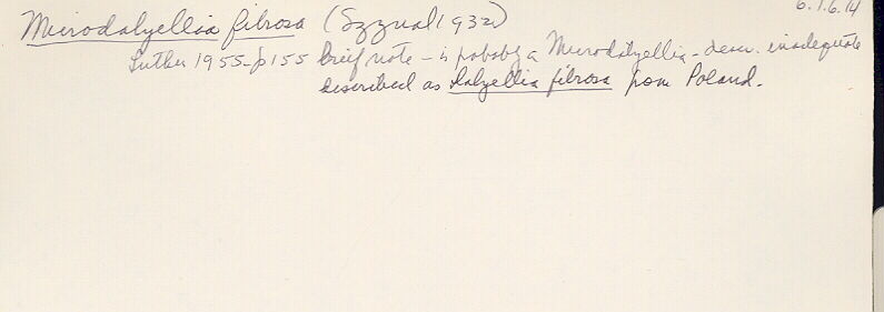 index card