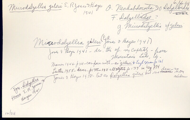 index card