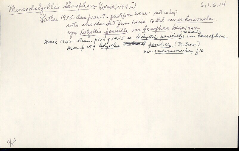 index card