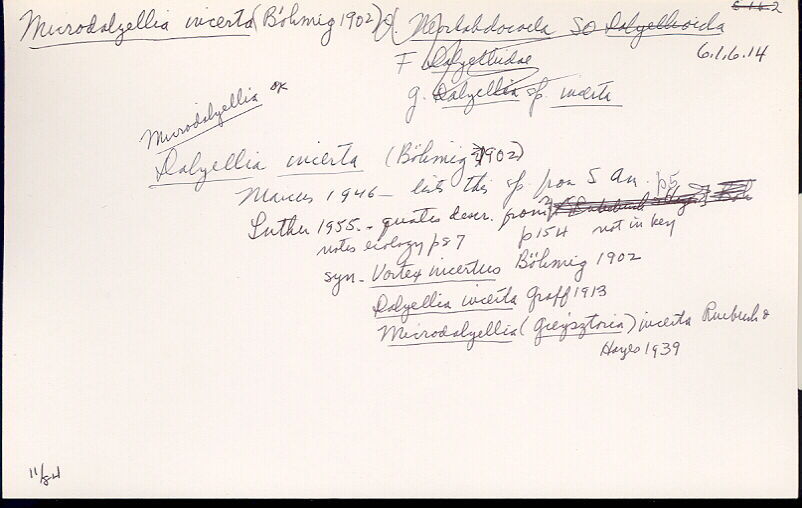 index card