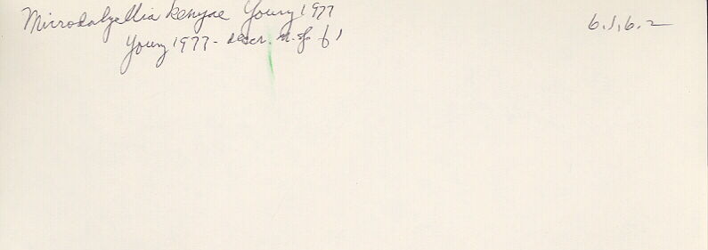 index card