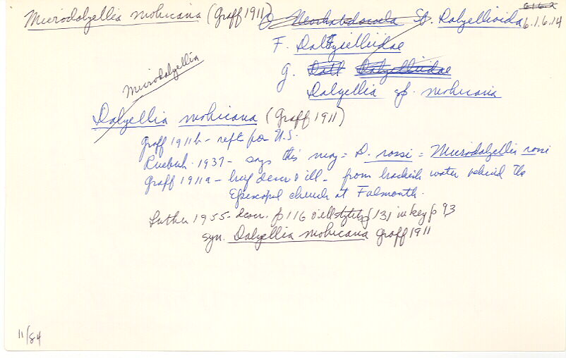 index card