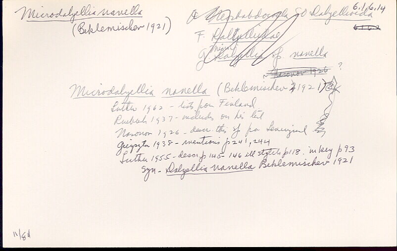 index card