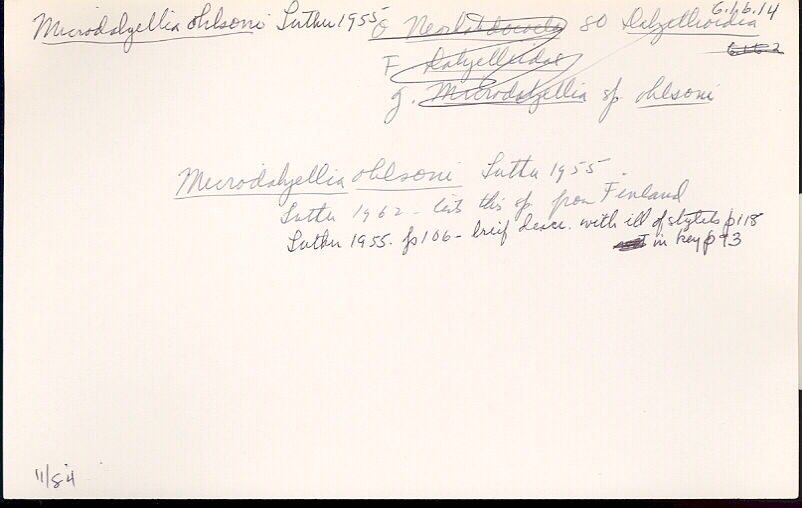 index card