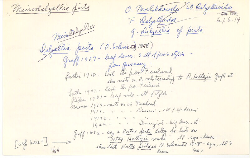 index card