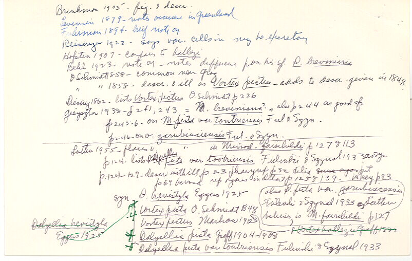 index card