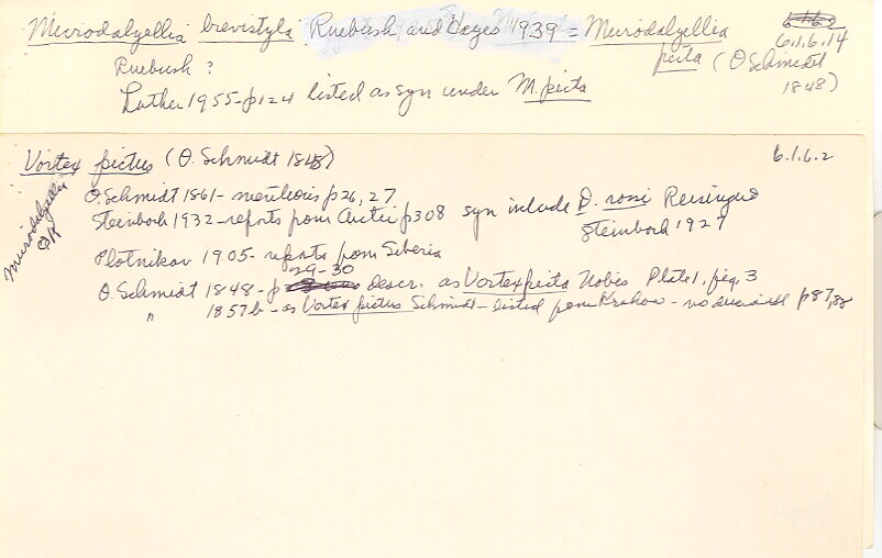 index card
