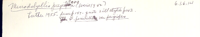 index card