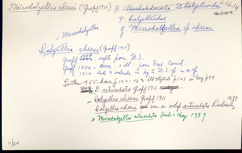 index card