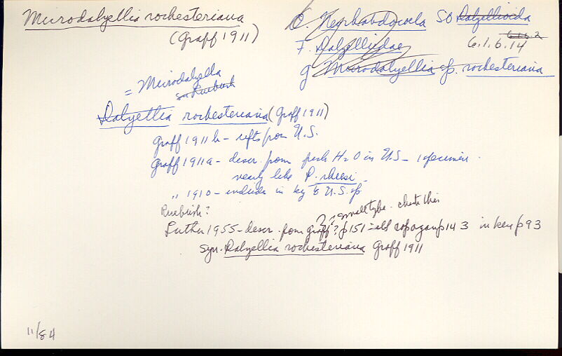 index card