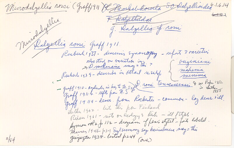 index card