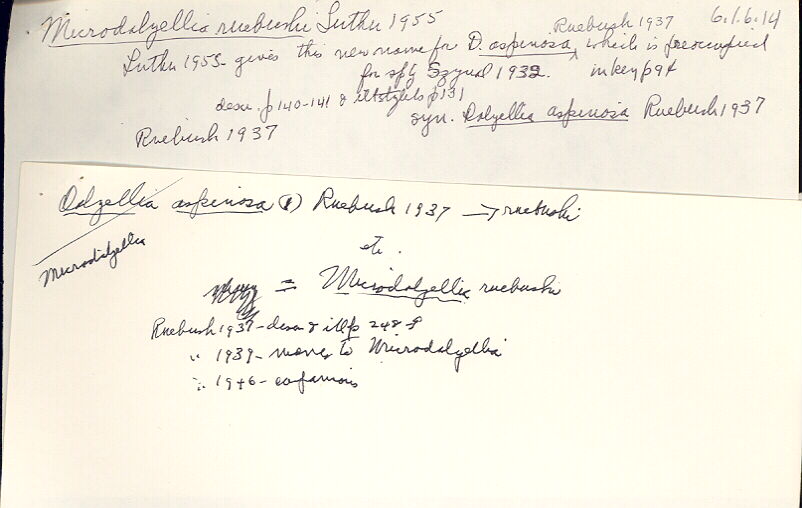 index card