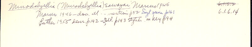 index card