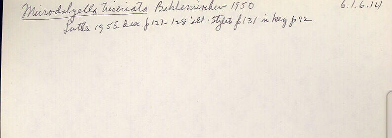 index card