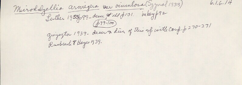 index card