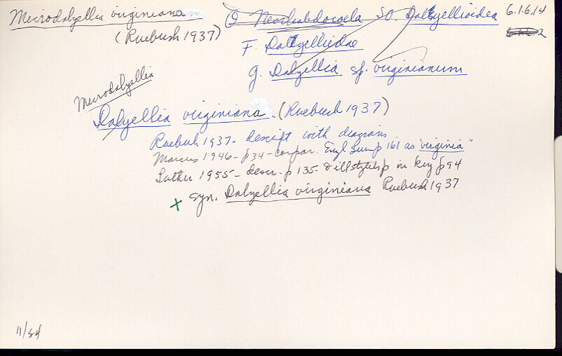 index card
