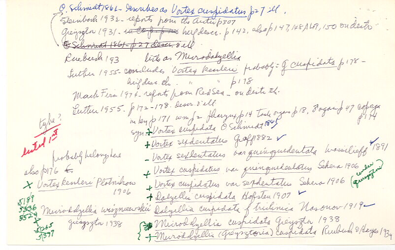 index card