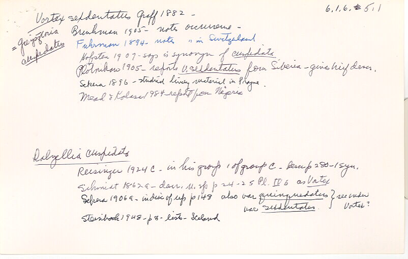 index card