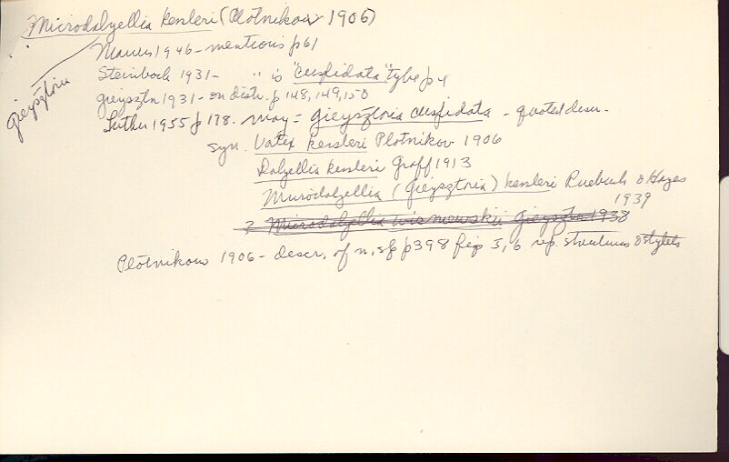 index card