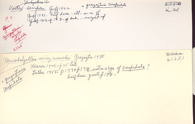 index card