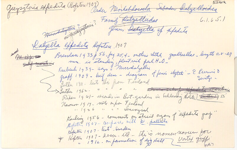 index card